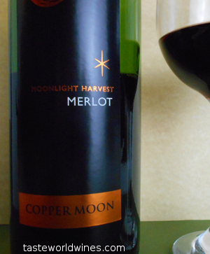 Cheesy Pasta Bowl with Copper Moon Merlot Wine Selection 