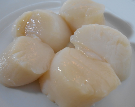 Fresh Scallops 