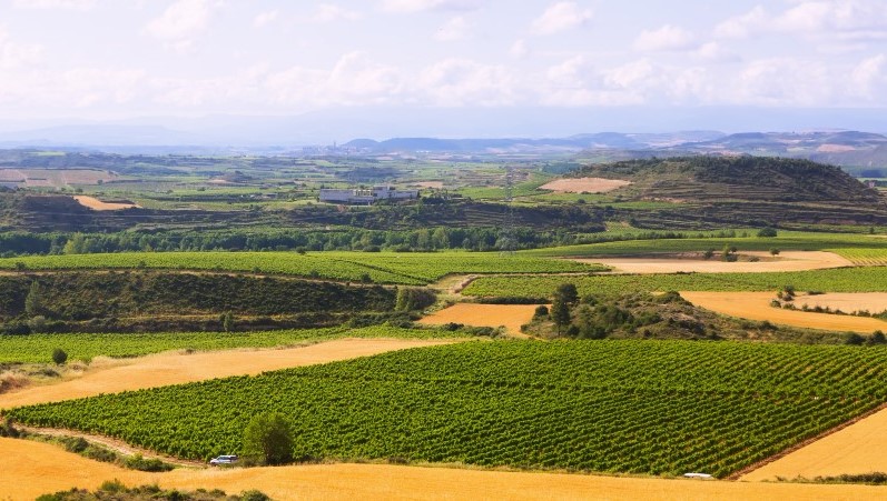 winery tour in Rioja Spain