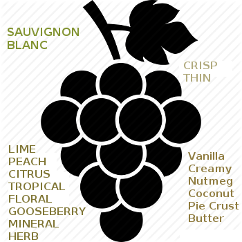 Learn About Sauvignon Blanc Wines, Tasting Notes, Popular Brands