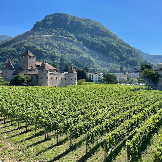 Rioja wine region Spain